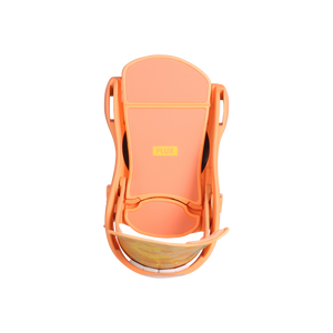 DS