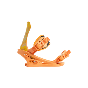DS